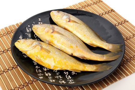 龍魚與黃魚區別？（龍魚與黃魚有什么區別）