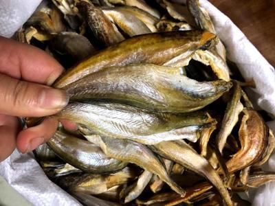 龍魚與黃魚區別？（龍魚與黃魚有什么區別）
