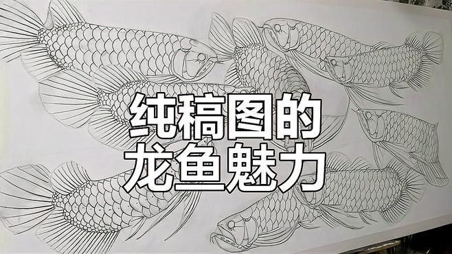 龍魚圖片頭像大全