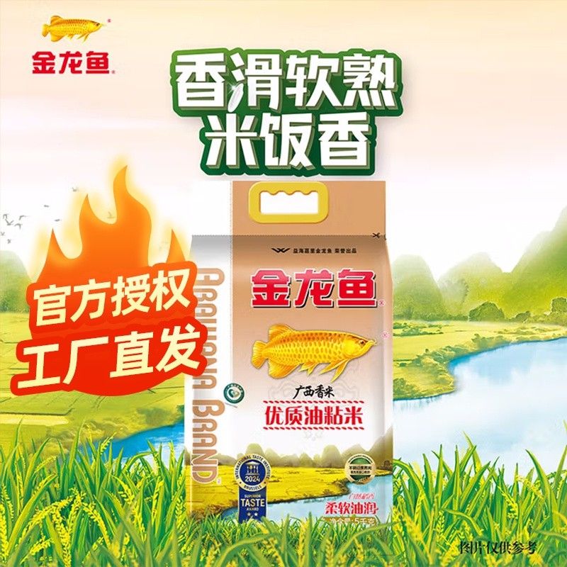 金龍魚廣西香米