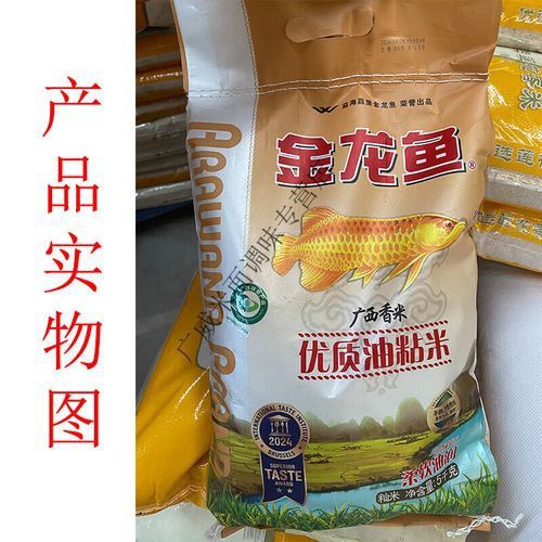 金龍魚廣西香米