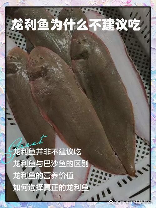 龍利魚是金龍魚嗎