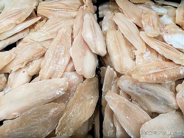 龍利魚是金龍魚嗎