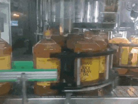 金龍魚有哪些美國合作伙伴？