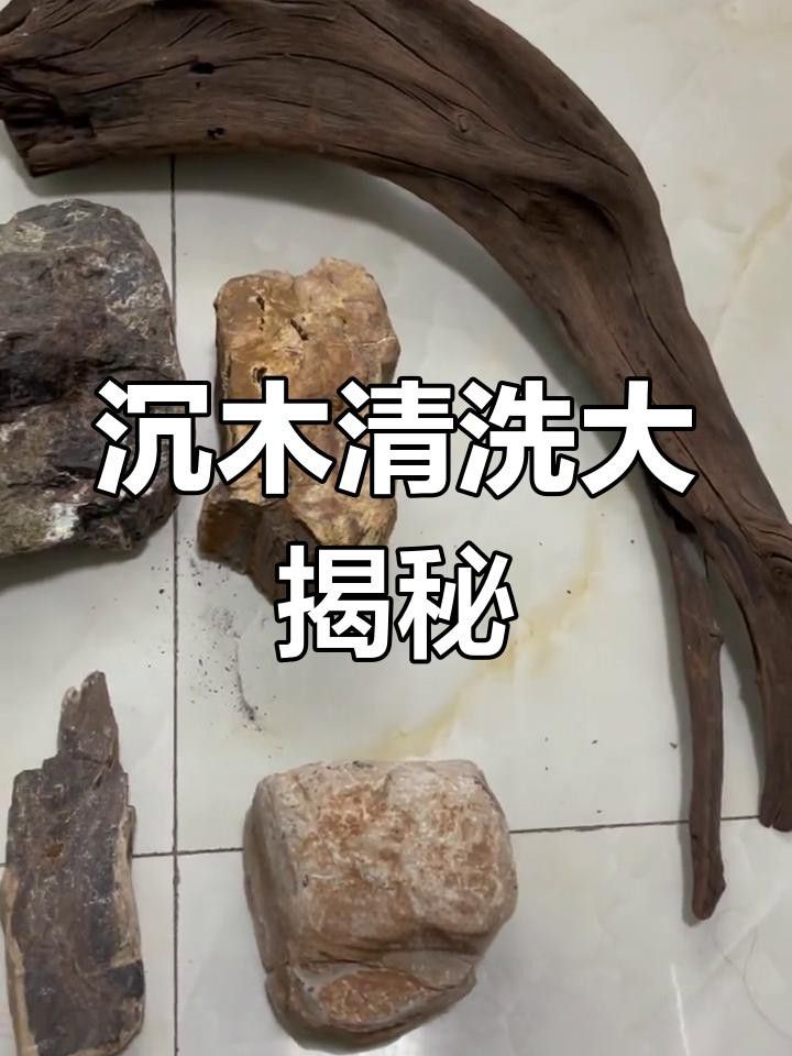 沉木消毒的具體方法