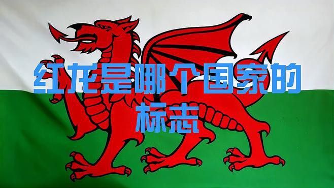 紅龍與藍龍有何象征意義？