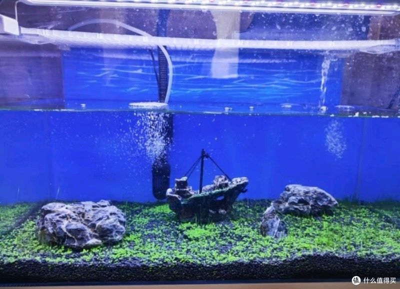龍魚缸內擺件有哪些材質可選？