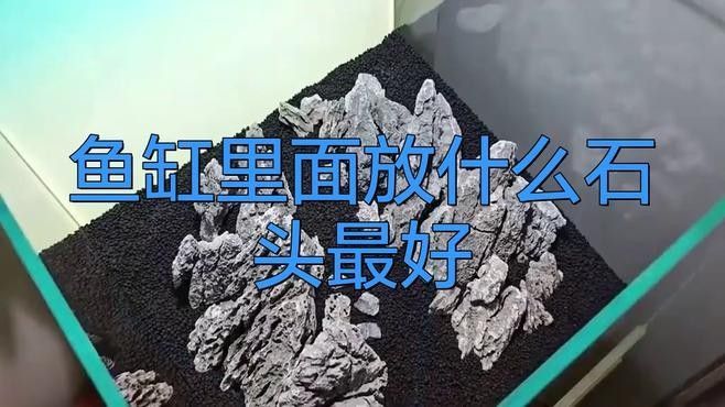 龍魚缸內擺件有哪些材質可選？