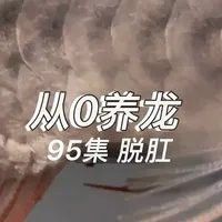 龍魚一片黑鱗