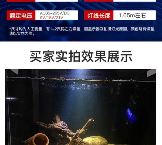 龍魚沉木造景位置圖片