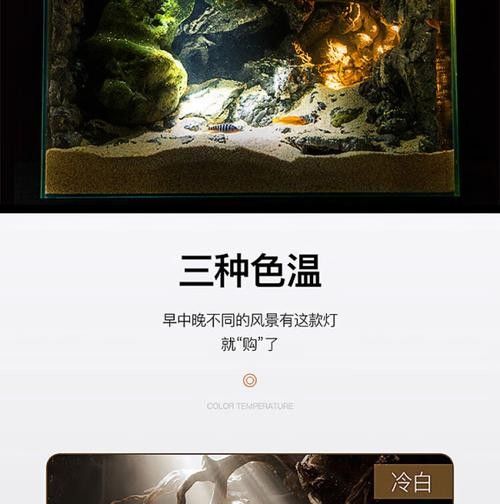龍魚沉木造景位置圖片