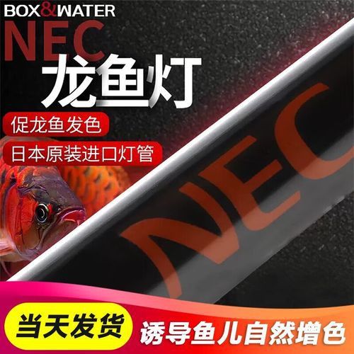 金龍魚缸燈