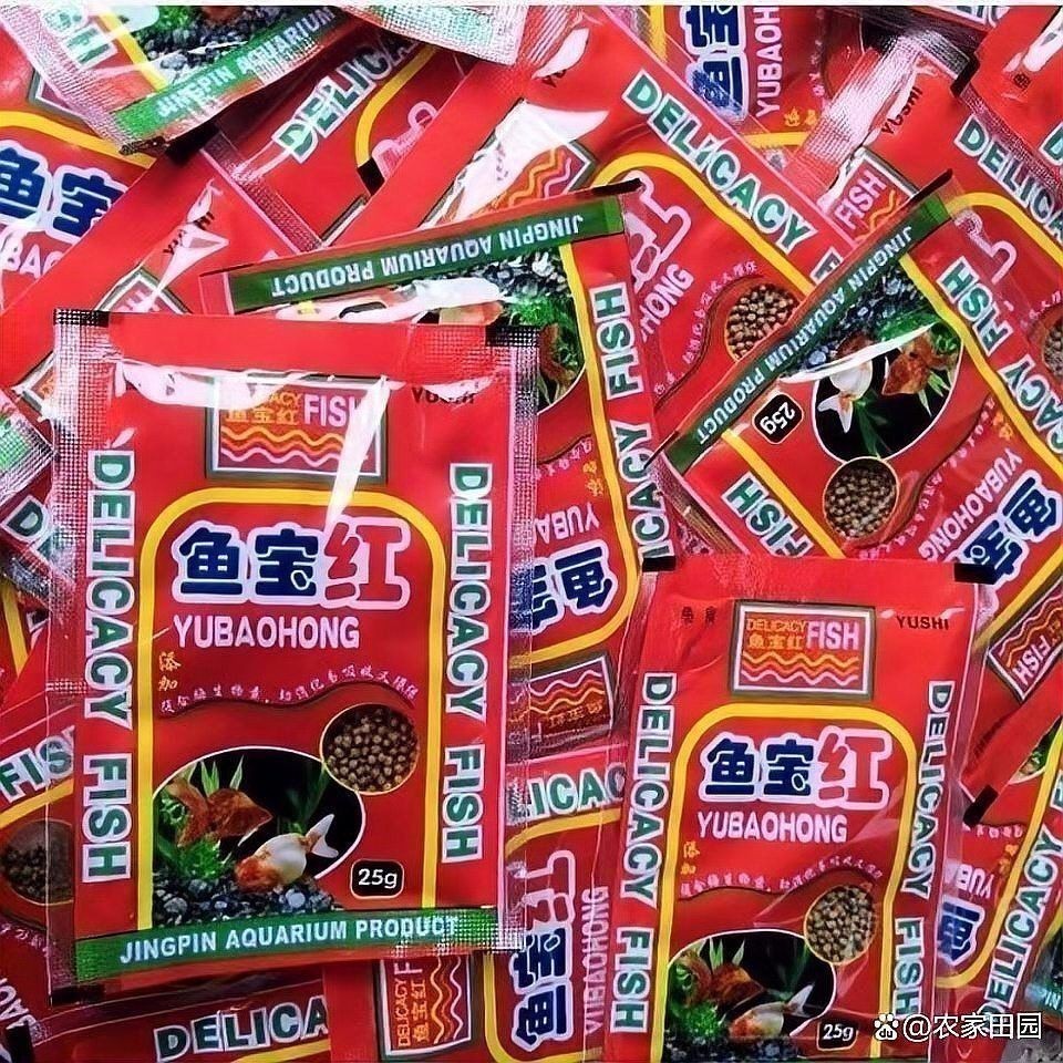 金龍魚怎么養最紅色