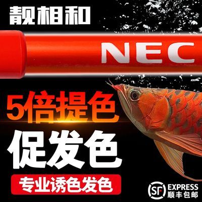 日本的龍魚（日本龍魚在日本的市場價值探究，龍魚在日本的市場價值探究）