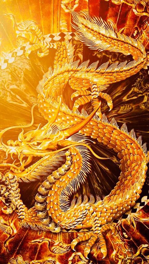 提供幾張更簡約風(fēng)格的金龍頭像