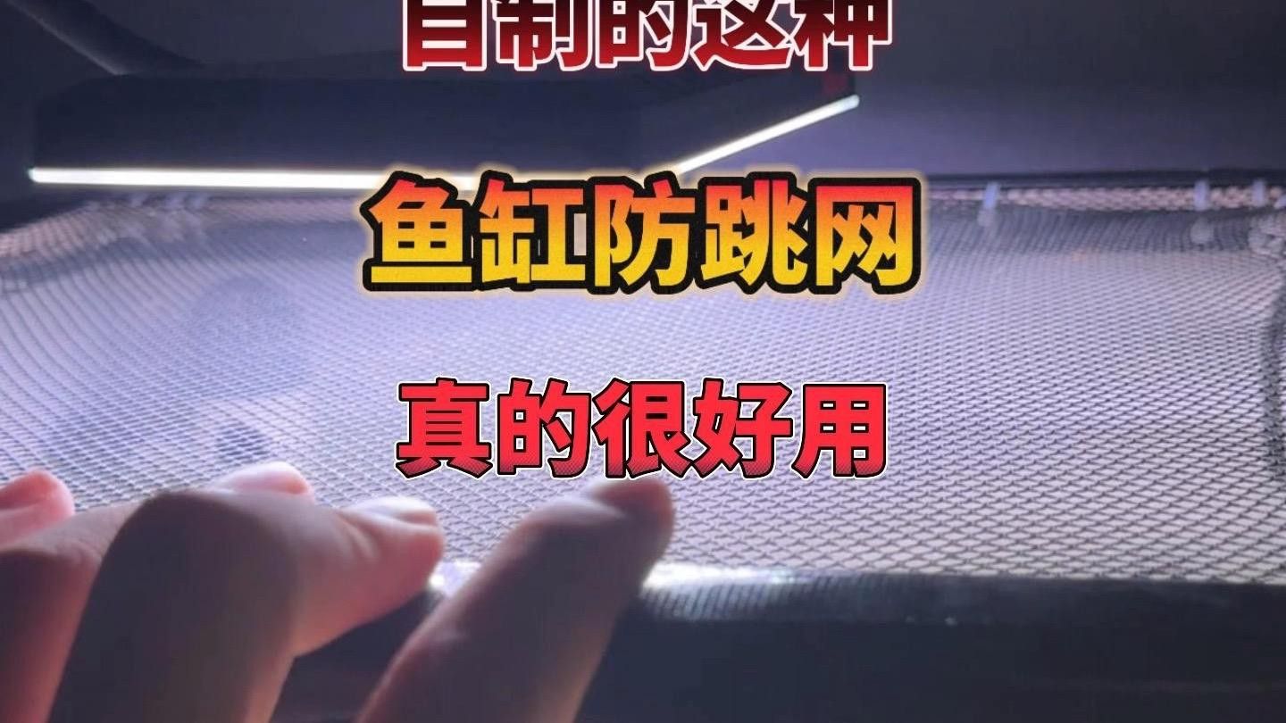 推薦幾款有效的防跳網