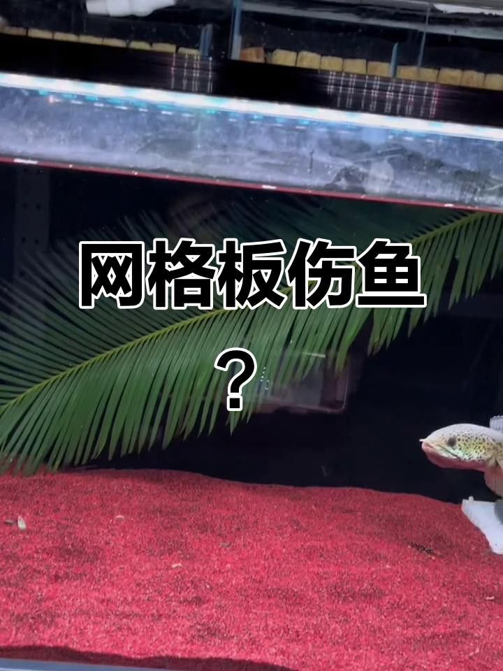 推薦幾款有效的防跳網