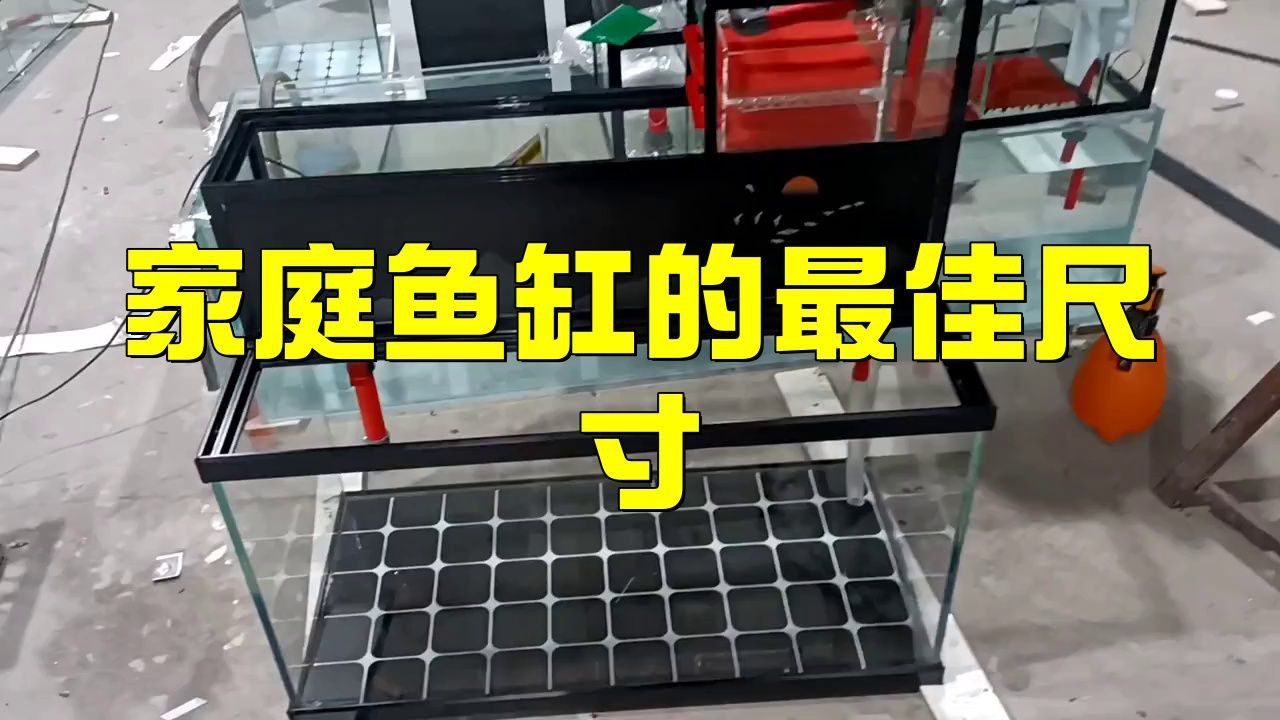 魚缸尺寸最忌三種 魚缸尺寸最忌三種 龍魚百科 第9張