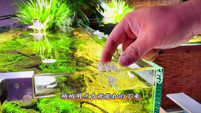 推薦幾款有效的防跳網