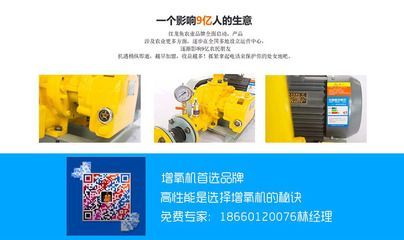 紅龍魚喂食要關(guān)水泵嗎？：紅龍魚喂食要關(guān)水泵嗎