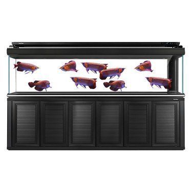龍魚魚缸什么牌子好一點：海利hailea魚缸的人性化設計特點