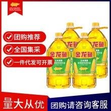 阿里巴巴和金龍魚