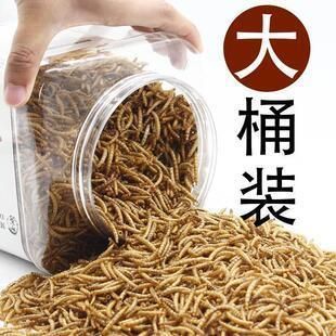 龍魚的飼料金魚能吃嗎？：如何判斷金魚飼料的質量
