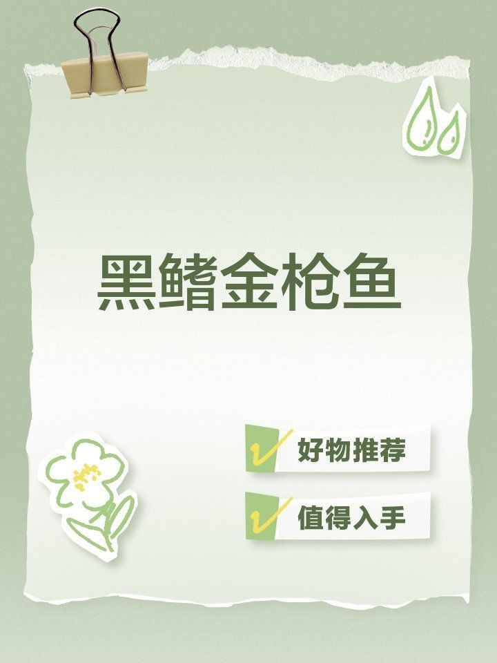 金槍魚最便宜的品種