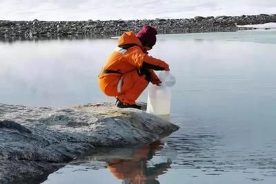 雪龍魚養殖水質管理方法：如何判斷雪龍魚健康狀態，雪龍魚換水的最佳時機