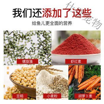 紅龍魚適宜的飼料選擇