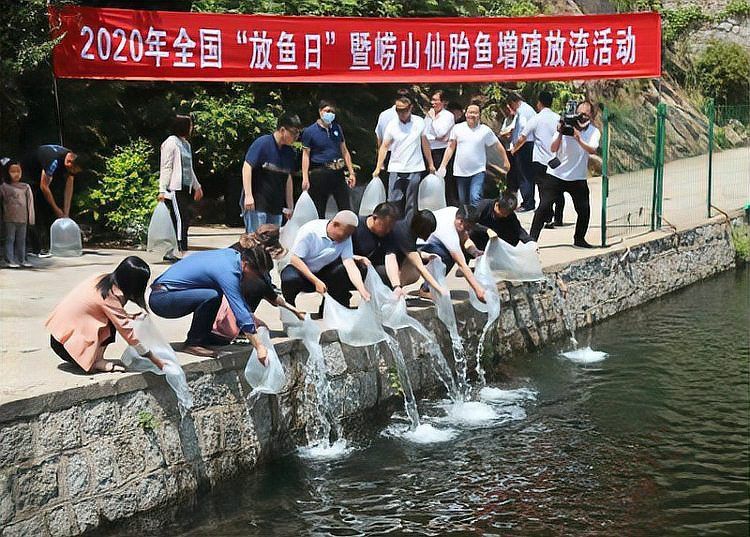 嶗山最出名的三個(gè)魚(yú)