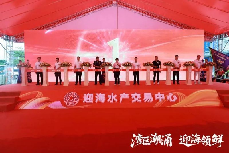 廣東最大的龍魚批發(fā)市場(chǎng)是哪里 廣東最大的龍魚批發(fā)市場(chǎng)是哪里 龍魚百科 第4張