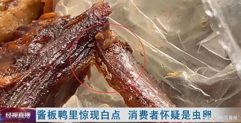 龍魚身上有小白點是什么蟲卵：龍魚白點病治療期間的注意事項龍魚白點病治療期間的注意事項