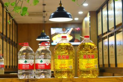 金龍魚吃魚嗎：養的金龍魚可以吃嗎(金龍魚可以吃嗎