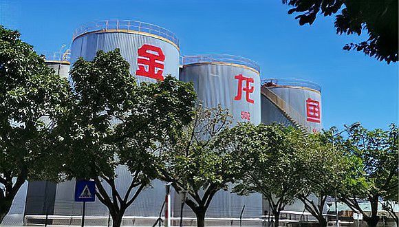 金龍魚是哪一年上市的
