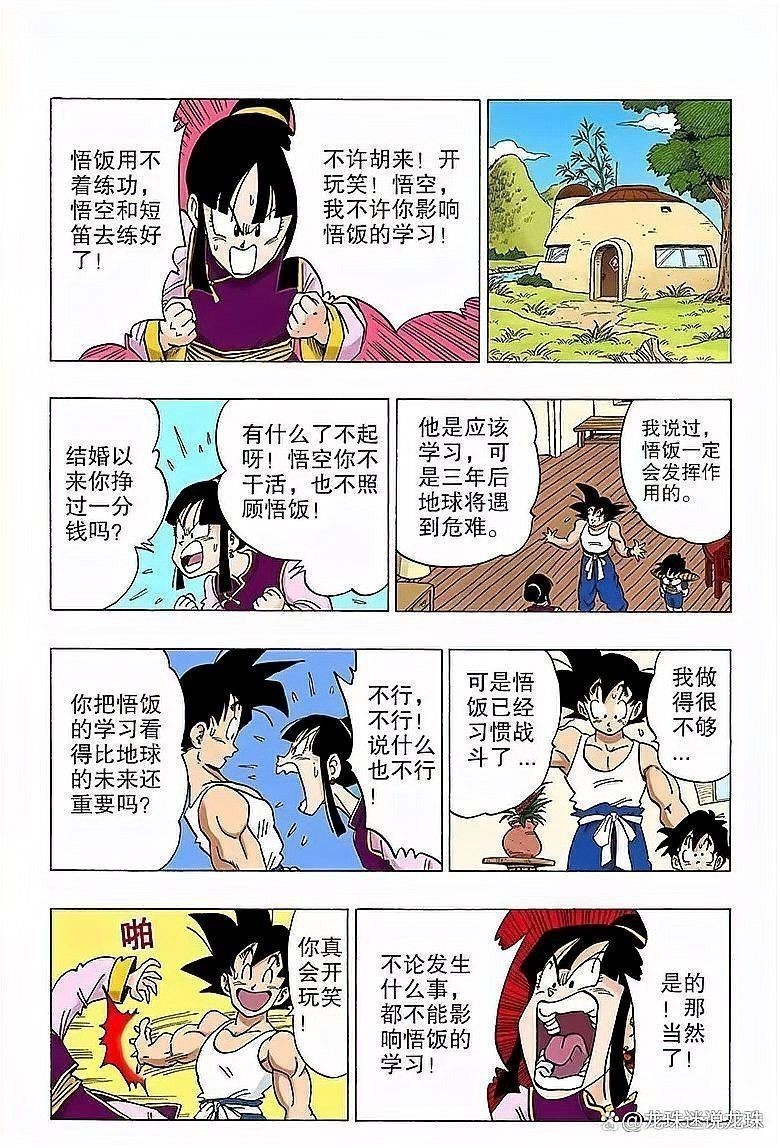 龍珠世界有貨幣嗎？