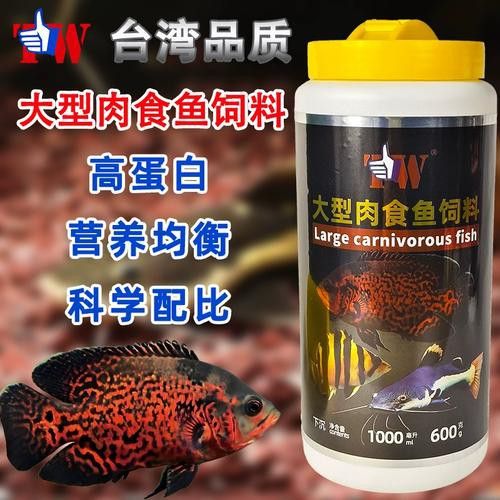招財貓和雷龍魚哪個好養一點 招財貓和雷龍魚哪個好養一點 龍魚百科 第12張