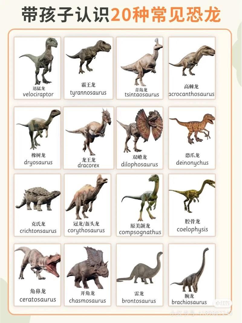 恐龍的圖片大全大圖