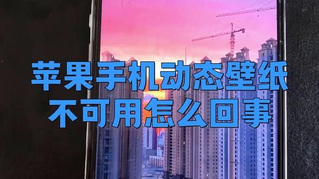 動態壁紙設置后不顯示怎么辦？
