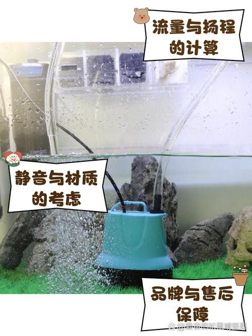 有哪些品牌的水泵適合紅龍魚發色？ 有哪些品牌的水泵適合紅龍魚發色？ 龍魚百科 第4張