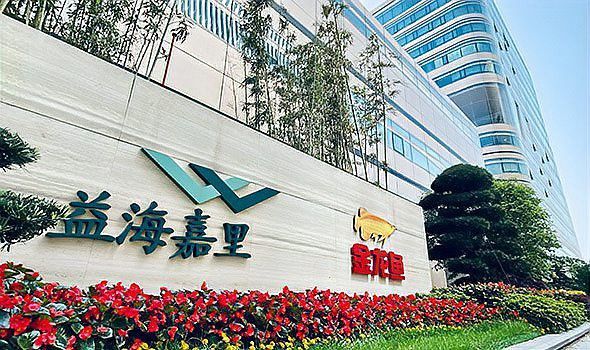 金龍魚市場(chǎng)調(diào)研報(bào)告范文