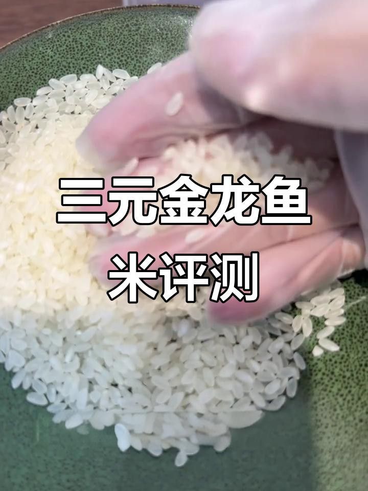 哪種金龍魚食物品牌最好？