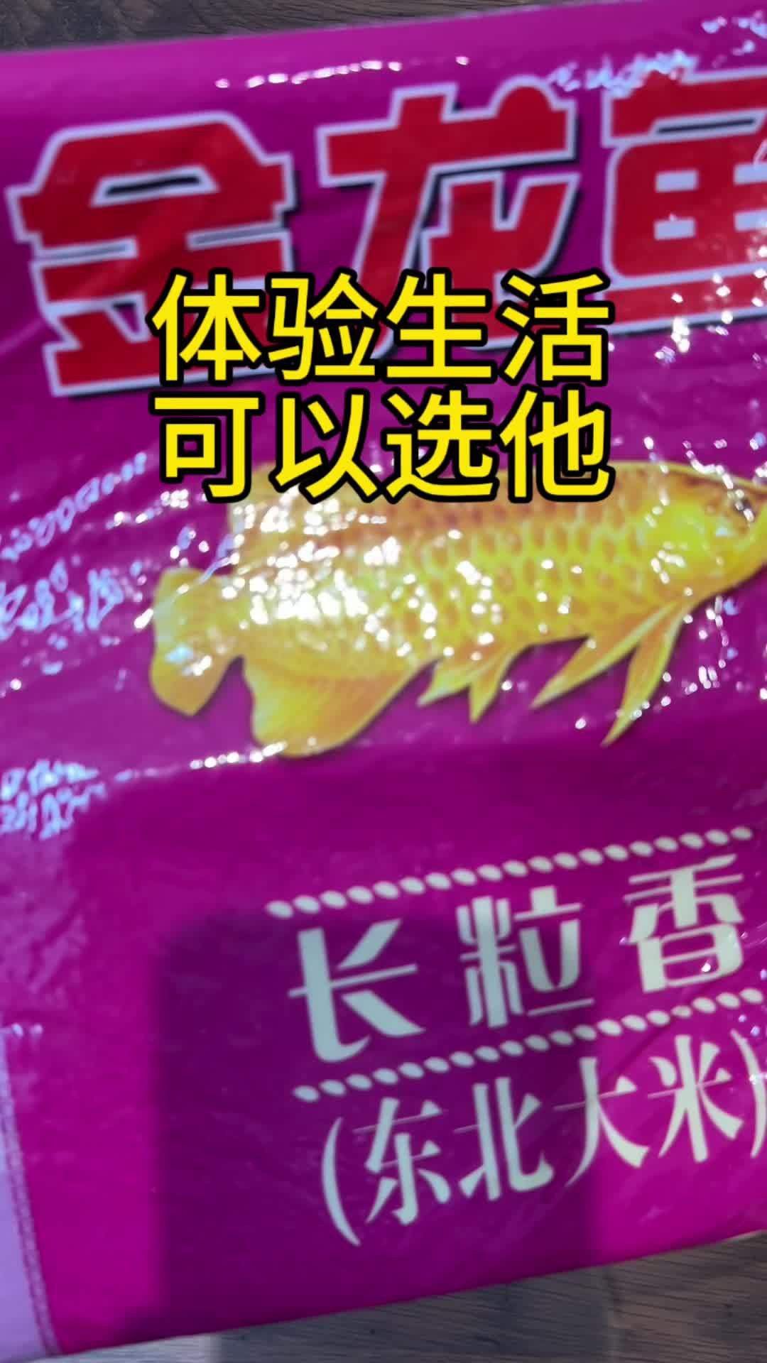 哪種金龍魚食物品牌最好？