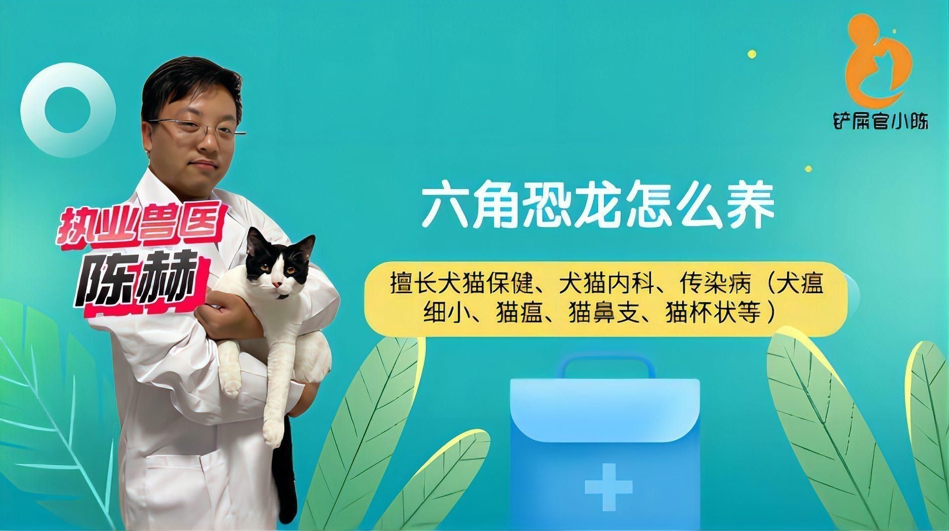 如何喂養六角恐龍魚