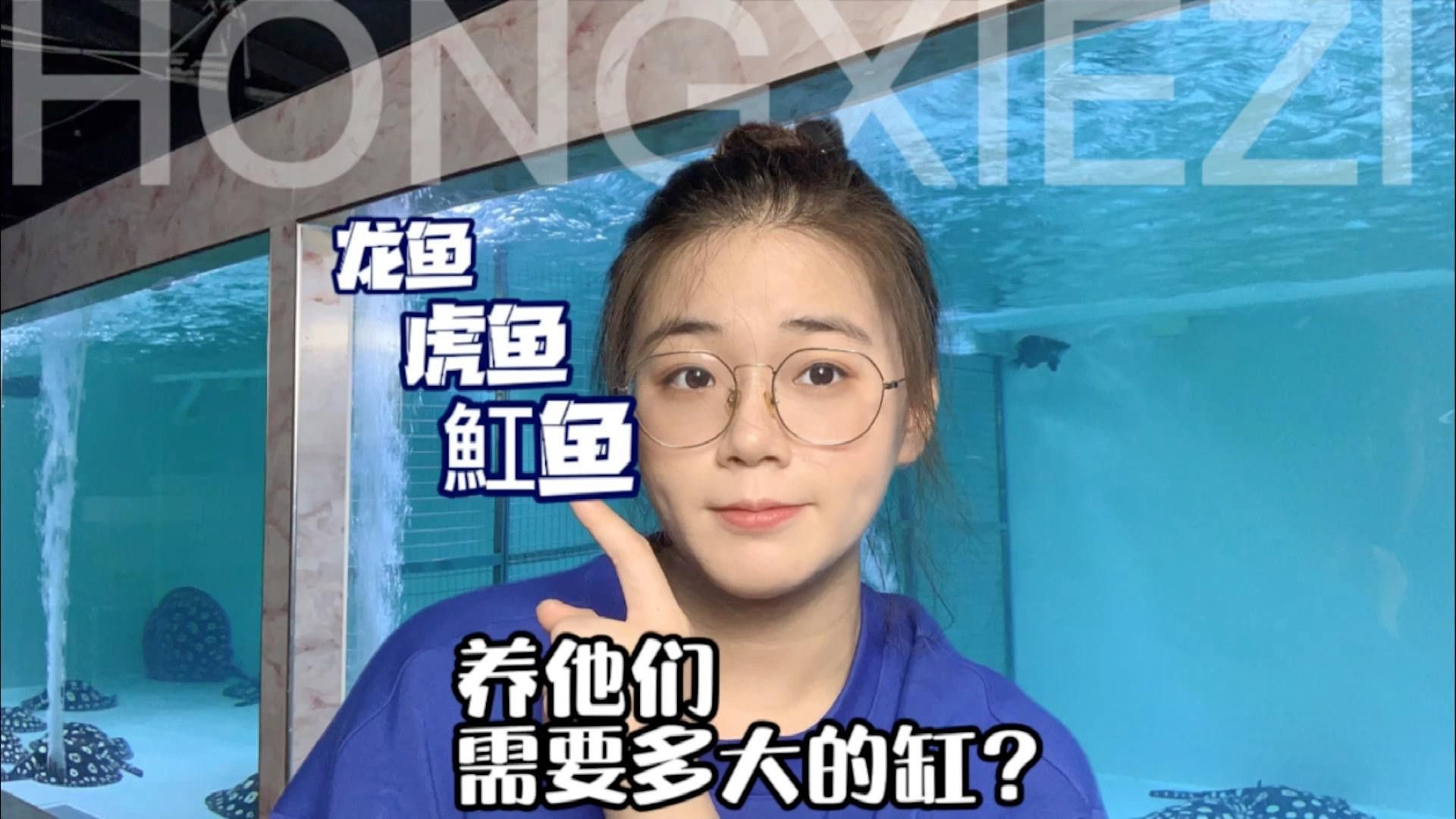 龍魚飼養需要多大的魚缸？