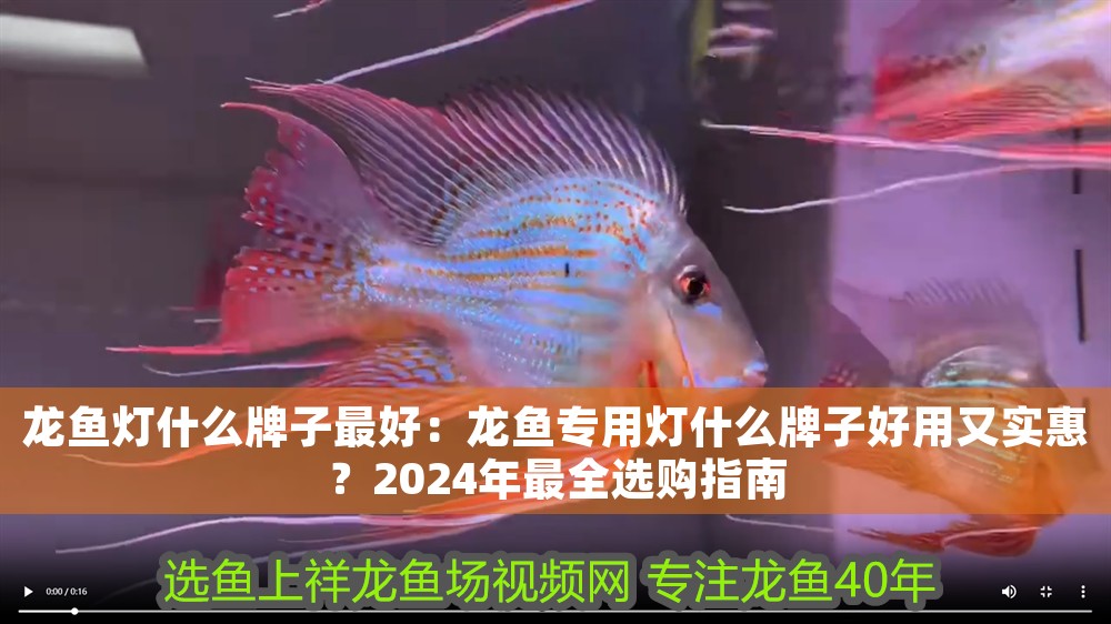 龍魚燈什么牌子最好：龍魚專用燈什么牌子好用又實惠？2024年最全選購指南
