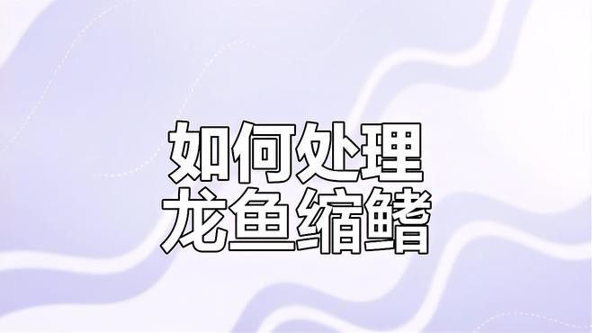 金龍魚縮尾鰭