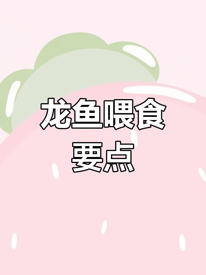 紅龍主食吃什么最好