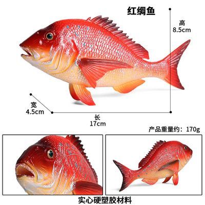 一米長的金龍魚有多重：一米長的金龍魚有多重，一米長的金龍魚的重量可能會比較重
