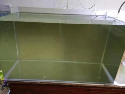 養龍魚換水換濾材周期（養龍魚的換水和更換濾材周期）